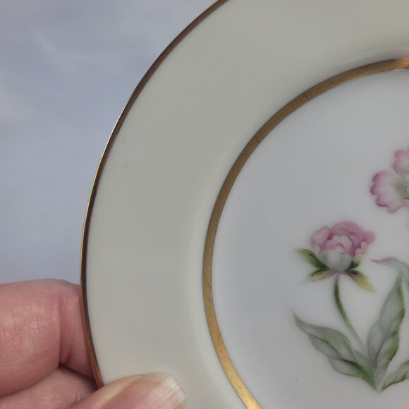 FOUR Mikado Harmony Bread Plates Cream Rim Pink Floral Center - Picture 7 of 12